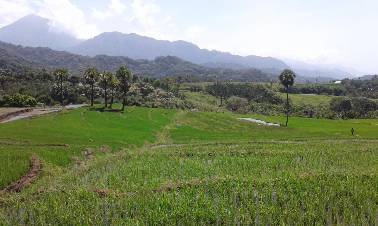 Kristian Homestay Bajawa Bagian luar foto